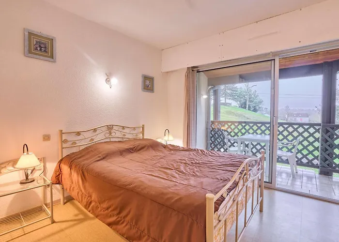 Appartement Lumineux Pour 2 Personnes Avec Balcon Et Parking A - Fr-1-841-8