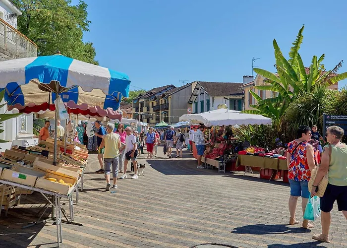 Appartement Lumineux Pour 2 Personnes Avec Balcon Et Parking A - Fr-1-841-8 *